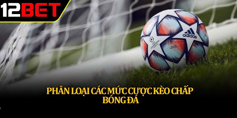 Phan loai cac muc cuoc keo chap bong da Phân loại các dạng Kèo cược chấp phổ biến hiện nay